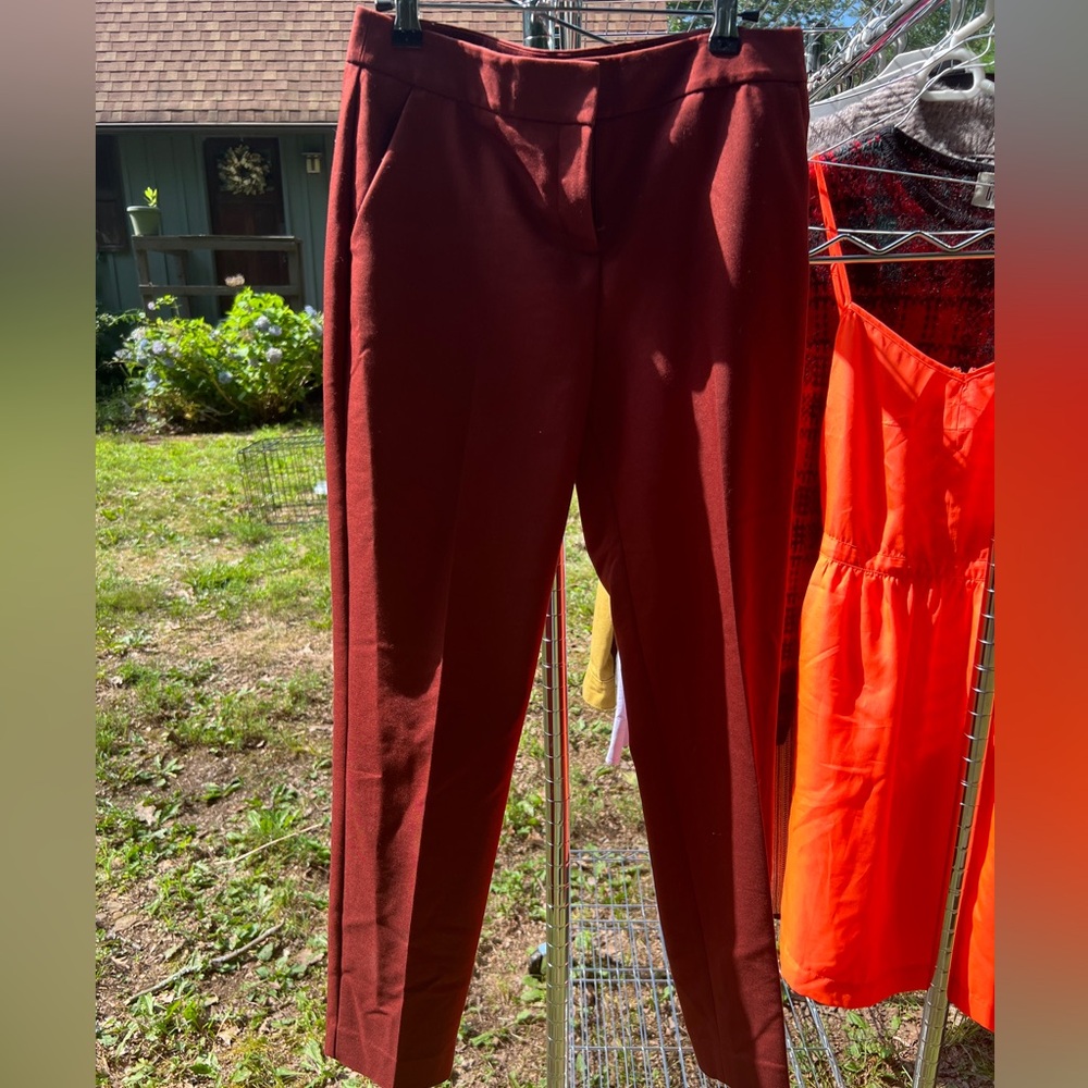 Express dress pants